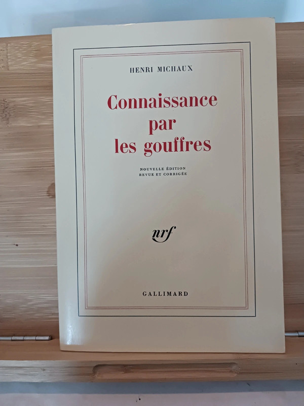 Connaissance par les gouffres - 9782070283859 Henri Michaux