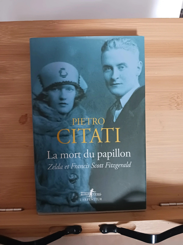 La mort du papillon - Zelda et Francis Scott Fitzgerald - 97