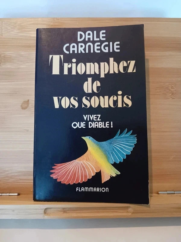 Carnegie Dale - 9782080600073 Triomphez de vos soucis : vive