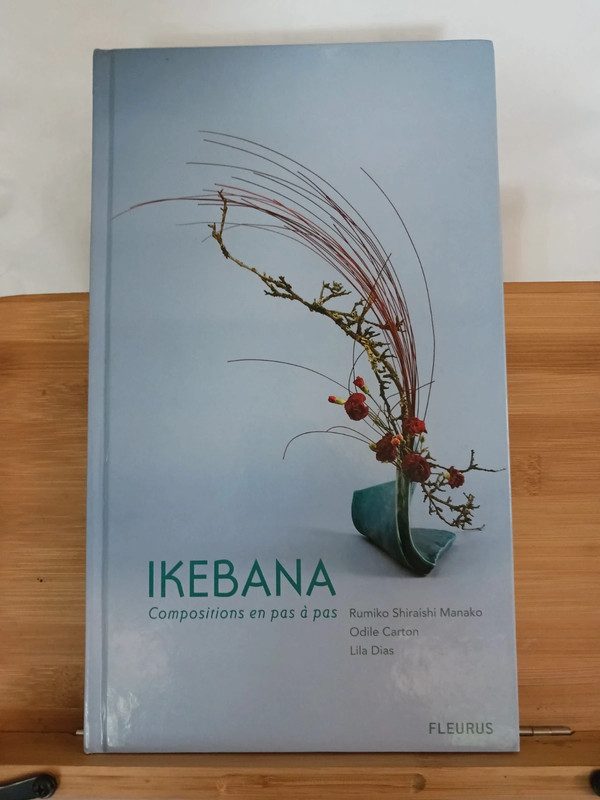 Ikebana ; Compositions Pas A Pas - 9782215092308 Odile Carto