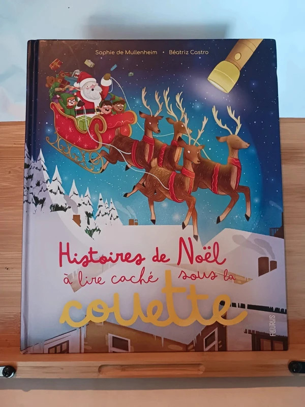Histoires de Noël à lire caché sous la couette - 97822151655