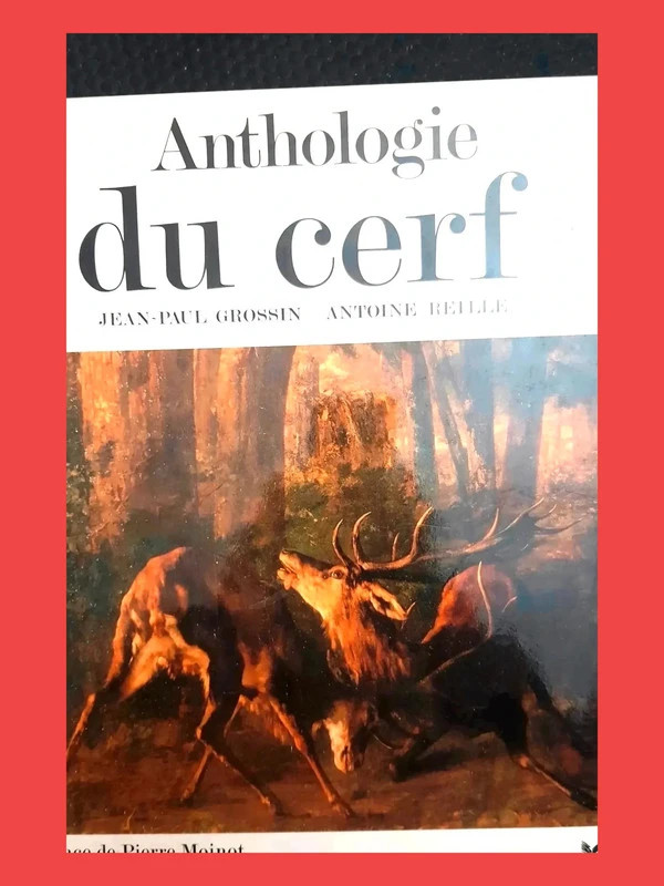 🔥 Livre très Apprécié – Ajouté par de nombreux favoris ! Ant
