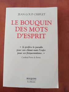 Le Bouquin des mots d'esprit Jean-Loup Chiflet