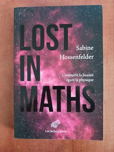 Lost in Maths - Comment la beauté égare la physique Sabine Hossenfelder