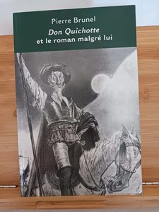 Don Quichotte et le roman malgré lui - Cervantes, Lesage, St