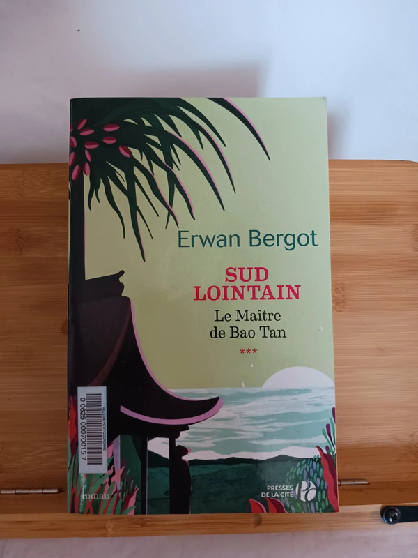 Sud Lointain - Le Maître de Bao Tan - 9782258162402 Erwan Be