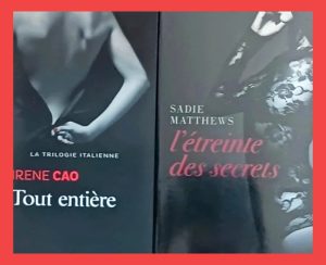 Lot de 2 livres de Romance