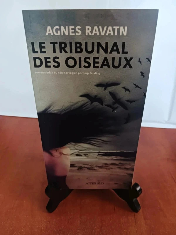 Le Tribunal des oiseauxAgnes Ravatn 9782330173586
