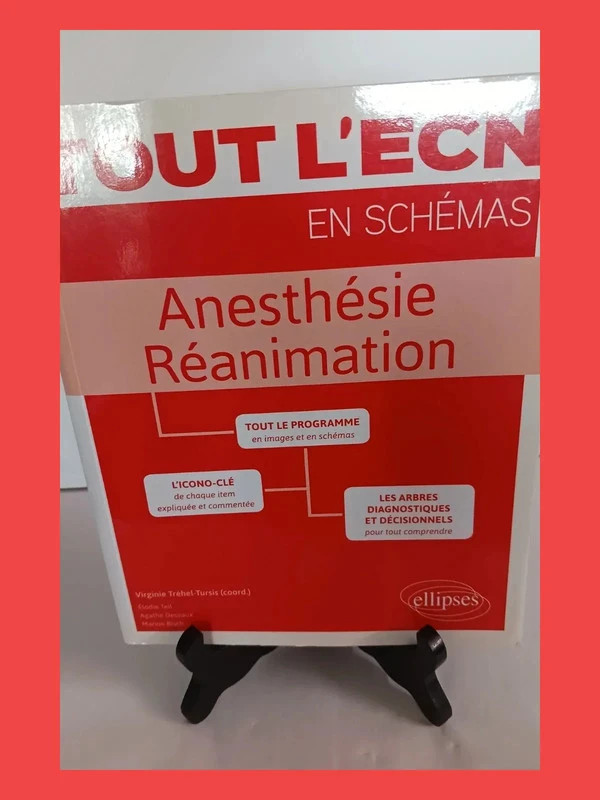 Anesthésie Réanimation Elodie Teil