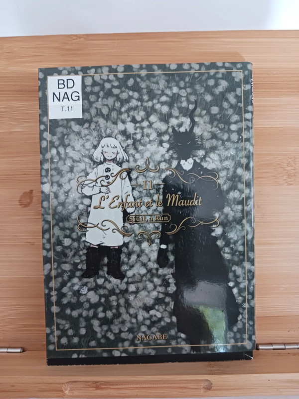 L'enfant et le maudit T11 - Fin (11) - 9782372875875 Nagabe