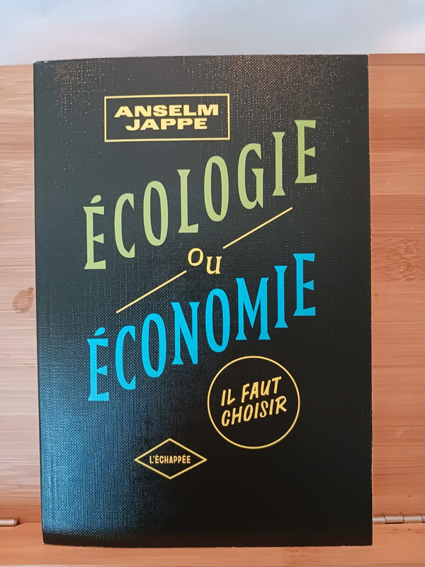 Ecologie ou économie, il faut choisir - 9782373091809 Anselm