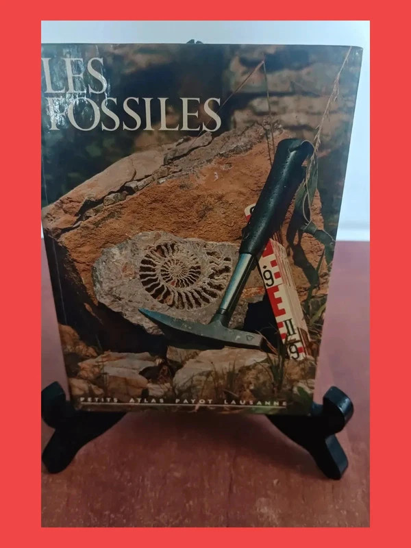 Fossiles, numéro 60Rothe 9782601020601