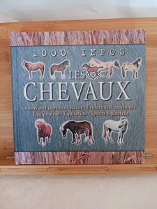 Les chevaux Marion Curry