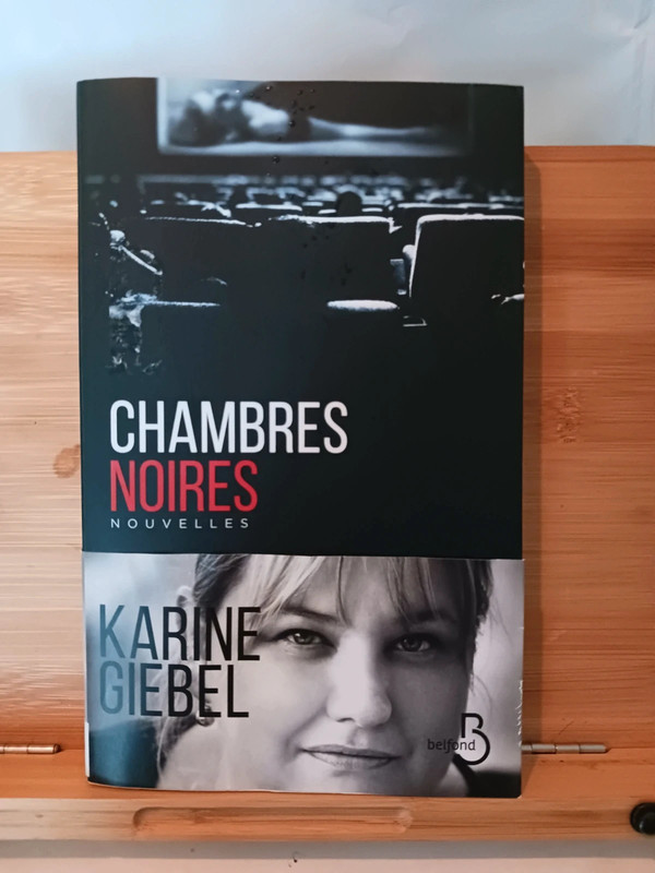 Chambres noires - 9782714494252 Karine Giebel