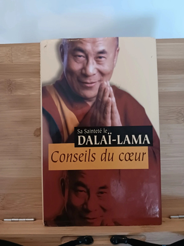 Conseils du coeur - 9782744156175 Dzin-rgya-mtsho Bstan