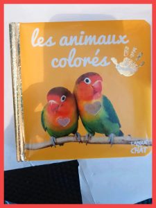 Les Animaux Colorés - Les animaux colorés
