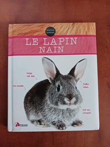 Le lapin nain Petra Dietz,