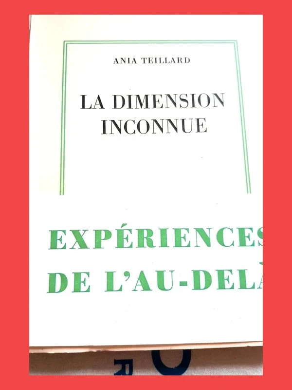 🔥 Livre très Apprécié – Ajouté par de nombreux favoris ! Dim