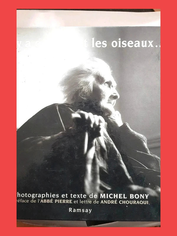 Il n'y a que toi et les oiseaux - Michel Bony 9782841143832