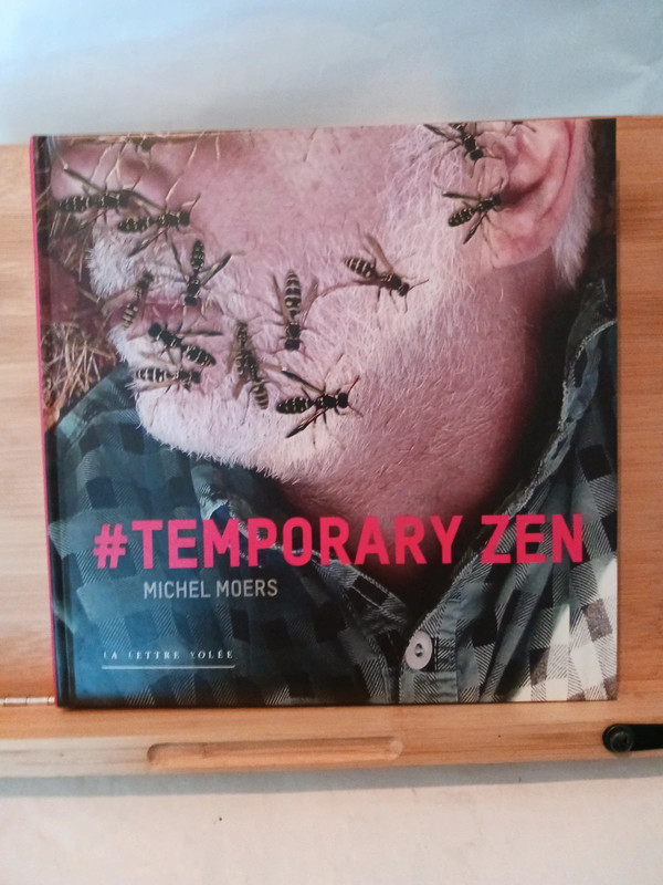 Temporary zen - 9782873174248 Michel Moers