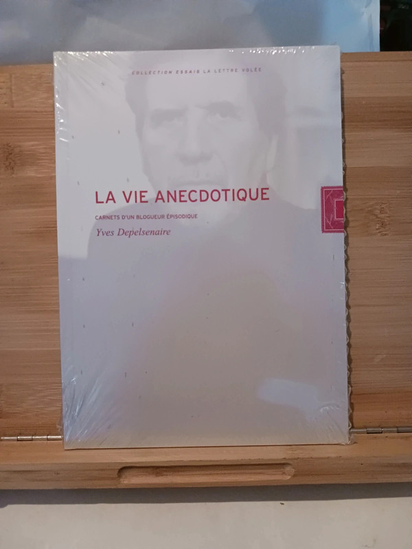 La vie anecdotique - Carnets d'un blogueur épisodique - 9782