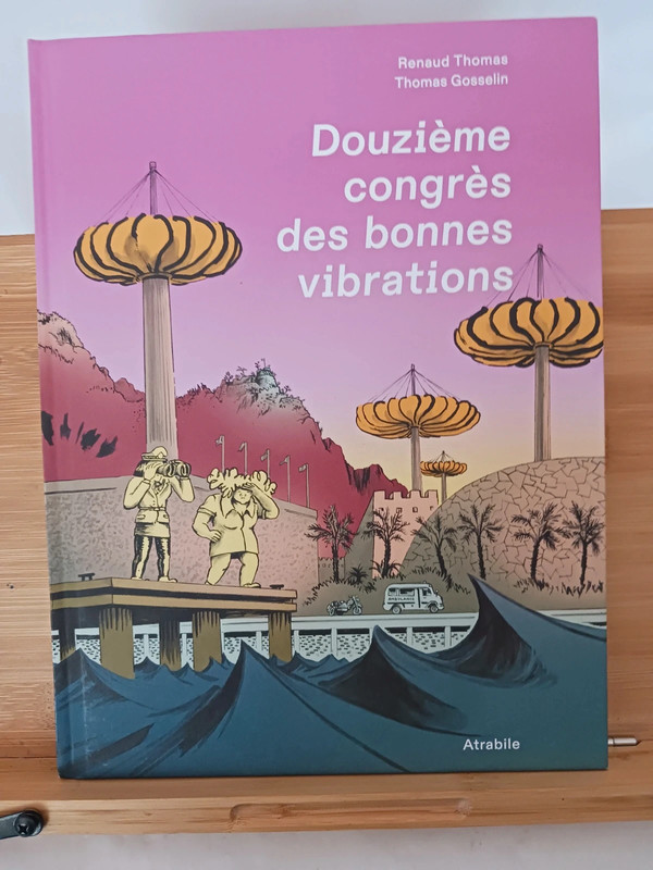 Douzième congrès des bonnes vibrations - 9782889231584 Renau