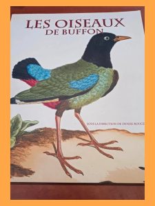 Les oiseaux de Buffon - Dans la bibliothèque de Louis Médard Paul-Marie Grinevald,