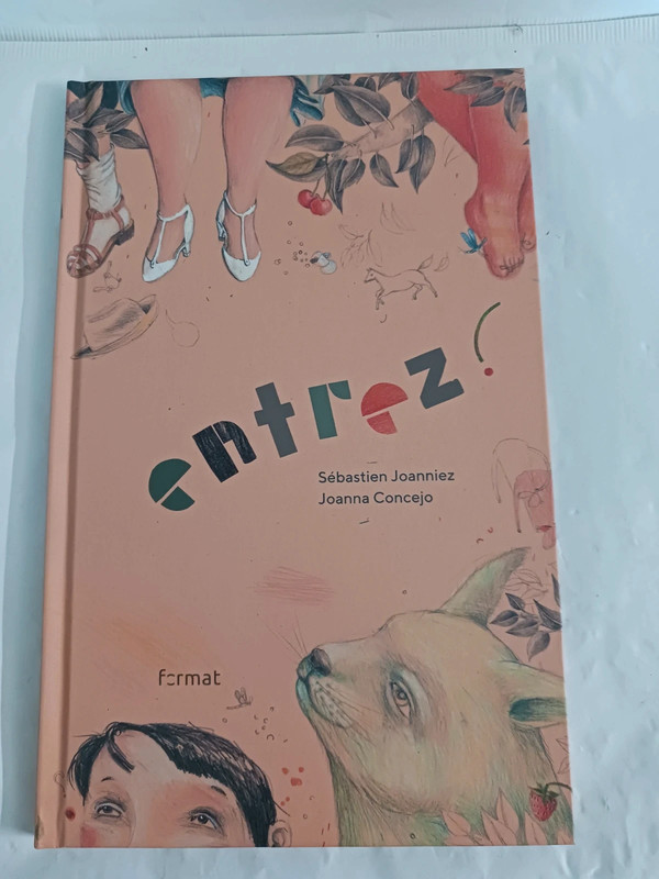 Entrez !Sébastien Joanniez 9788366789333