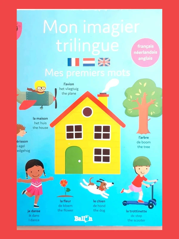 Mon imagier trilingue - Mes 100 premiers mots 9789403222394