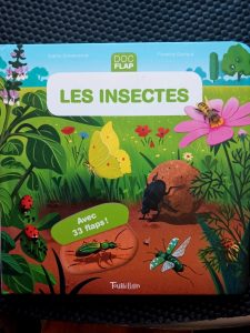 Les insectes Sophie Dussaussois