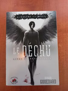 La Colère Des Dieux - Le Déchu Tome 1 - Renaissance Ronan Gouedard