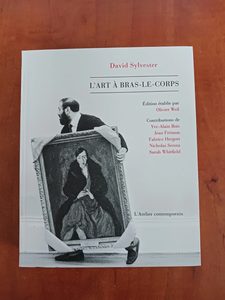 L'art à bras-le-corps - Parcours dans l'art du XXe siècle David Sylvester,