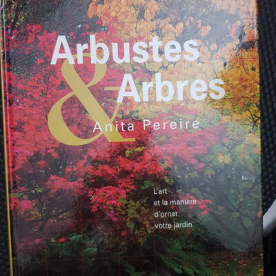 Arbustes Et Arbres : L'art Et La Manière D'orner Votre Jardin