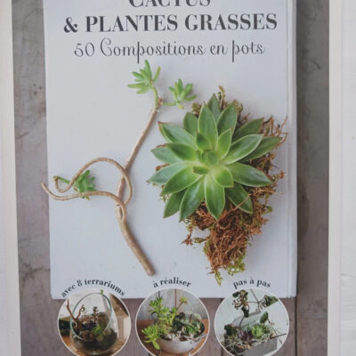 Cactus Et Plantes Grasses : 50 Compositions En Pots