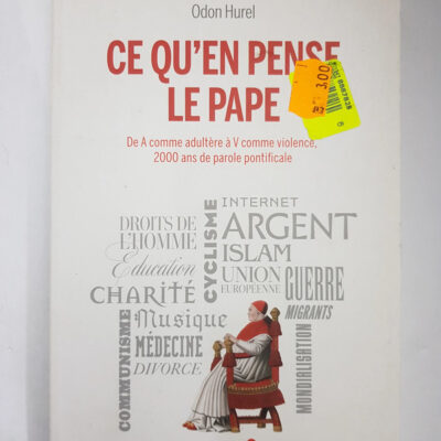 Ce qu'en pense le pape: De A comme adultère à V comme Violence