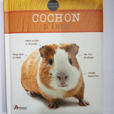 Cochon d'Inde (FOCUS ANIMAUX DOMESTIQUES) (French Edition)