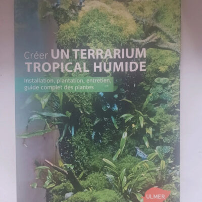 Créer un terrarium tropical humide (Médium) (French Edition)