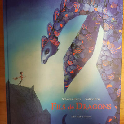 Fils De Dragons (a.m. Alb.ill.c.) (french Edition)