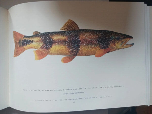 Le bel inventaire des truitesJames Prosek, – Image 4