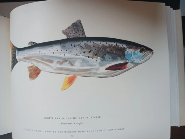 Le bel inventaire des truitesJames Prosek, – Image 5