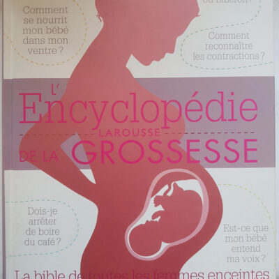 L'encyclopédie Larousse De La Grossesse : La Bible De Toutes Les Femmes Enceintes