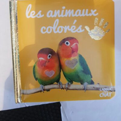 Bébé touche-à-tout - Les animaux colorés (French Edition)