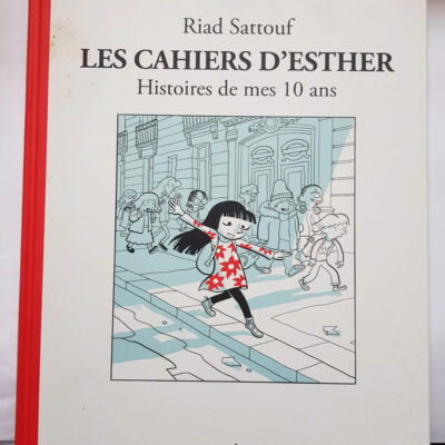 Les Cahiers D'esther (french Edition)