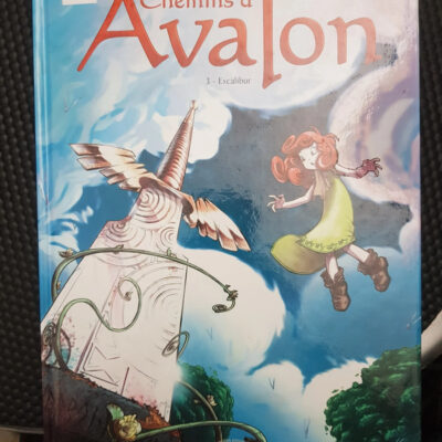 Les Chemins D'avalon Tome 3 - Excalibur - Nicolas Jarry,