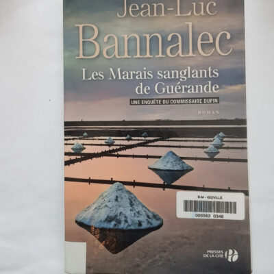 Les Marais sanglants de Guérande (Terres de France) (French Edition)