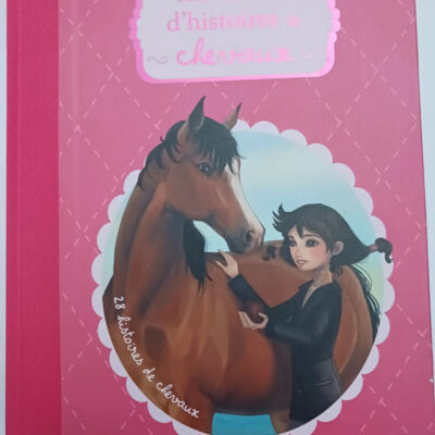 Mon Recueil D'histoires De Chevaux
