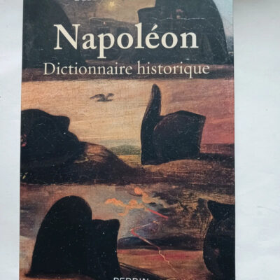 Napoléon - Dictionnaire historique (French Edition)