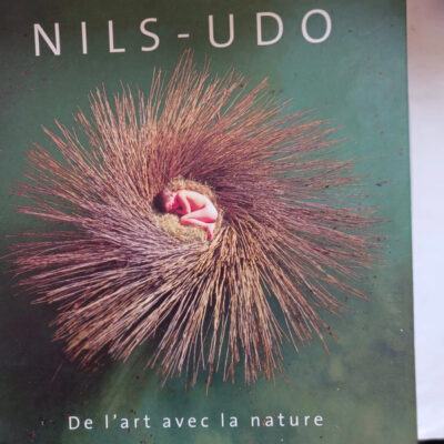 De l'art avec la nature