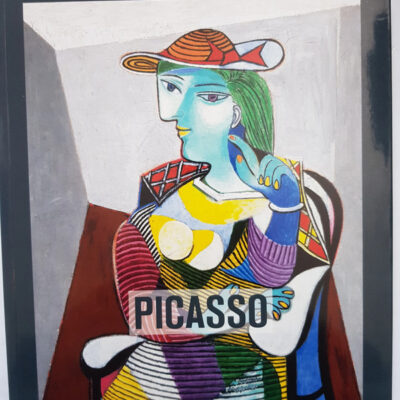 Picasso (french Edition)