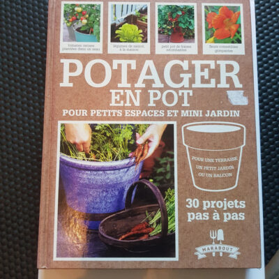 Potager En Pot Pour Petits Espaces Et Mini Jardin